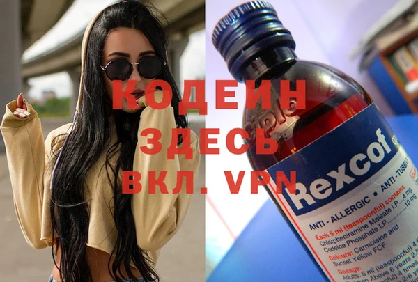 амф Корсаков