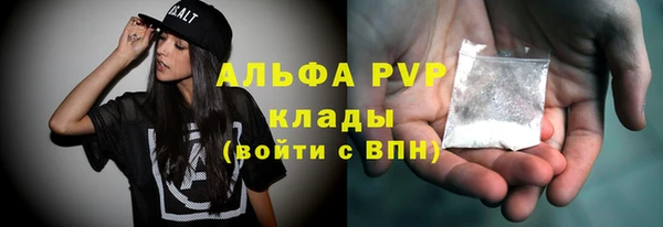 амф Корсаков