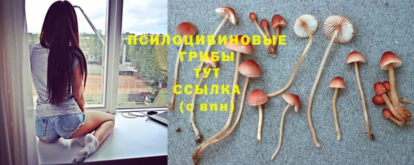 альфа пвп Коряжма