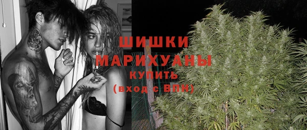 амф Корсаков