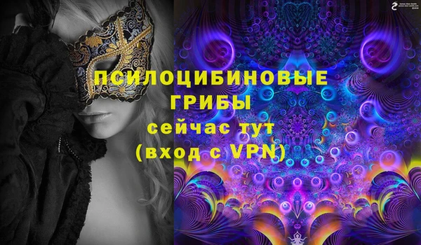 амф Корсаков