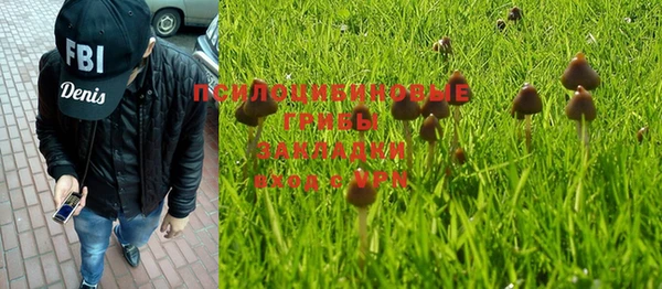 альфа пвп Коряжма