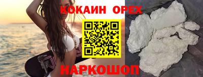 стафф Гатчина