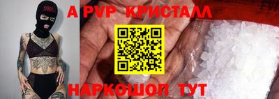 стафф Гатчина