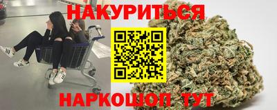 стафф Гатчина