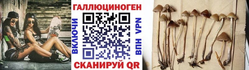 Галлюциногенные грибы Psilocybe  как найти наркотики  Малоярославец 