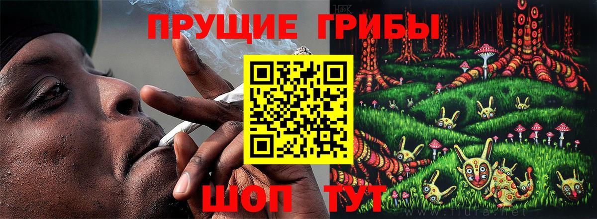 Псилоцибиновые грибы GOLDEN TEACHER Малоярославец