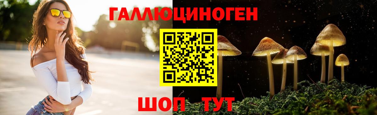 Галлюциногенные грибы Psilocybe  Вход с VPN  Малоярославец  Псилоцибиновые грибы мухоморы 